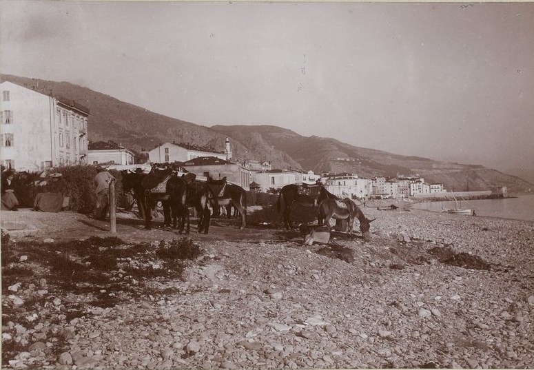 Menton