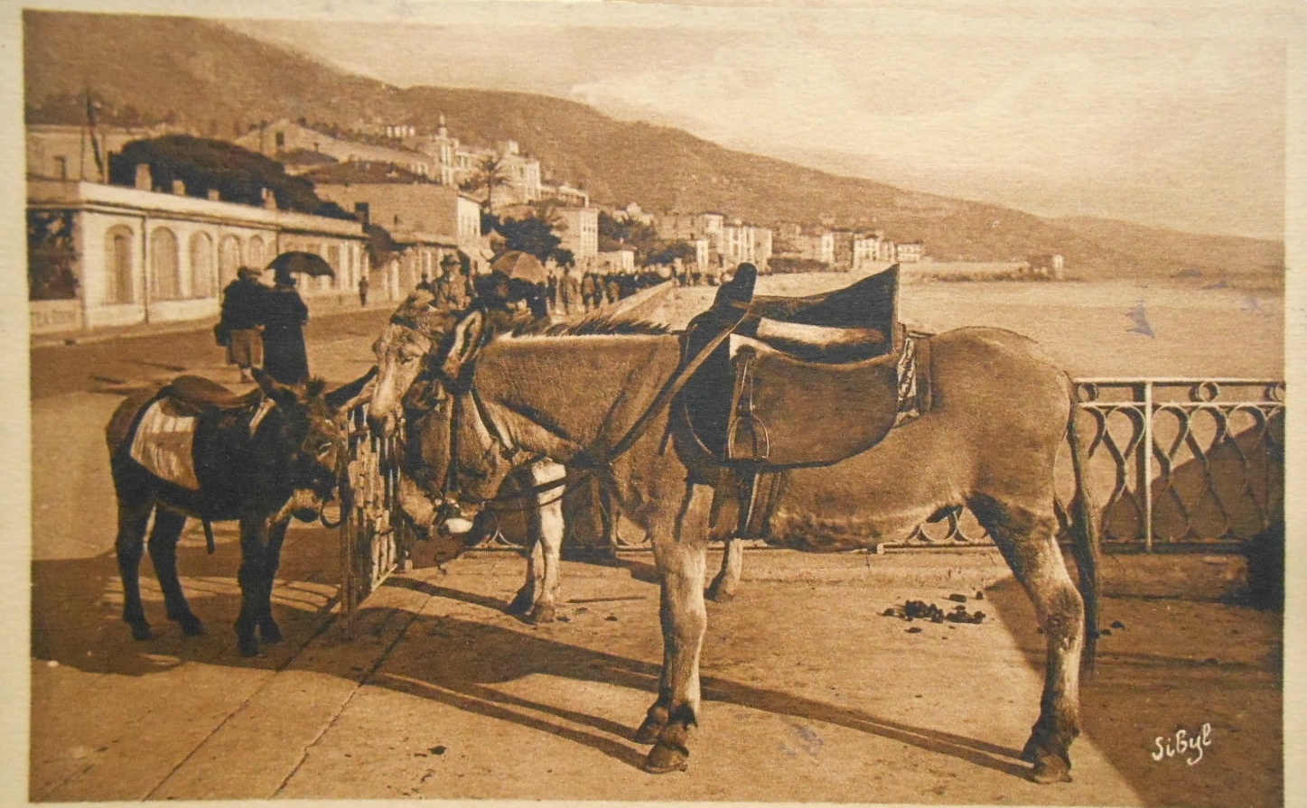 Menton